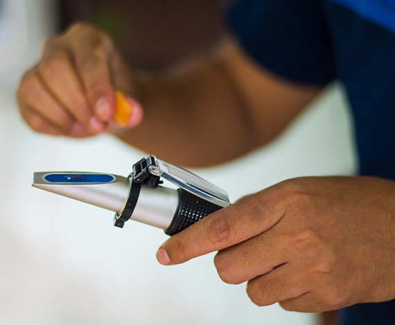 BG大游·(集团)视讯官方网站